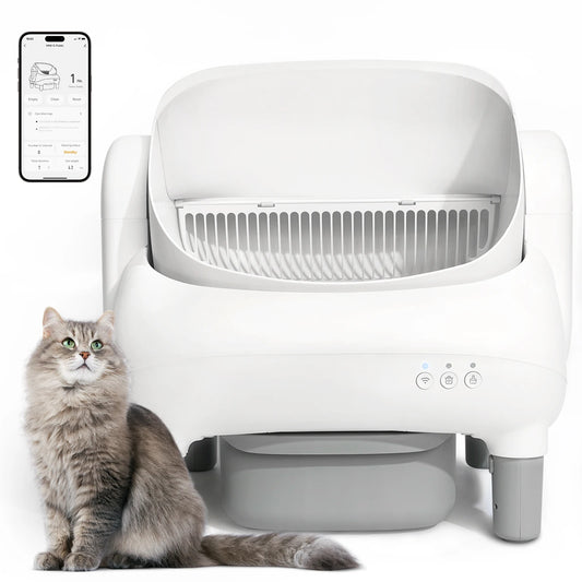 Cumrige Open Top Self Cleaning Cat Litter Box, Automatic Smart Litter Box with App Control for Multiple Cats - Louie's Joint 