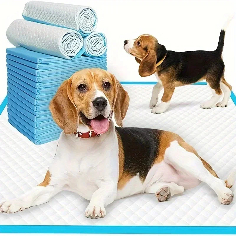 Disposable Dog Diapers And Training Pads With Odor Control