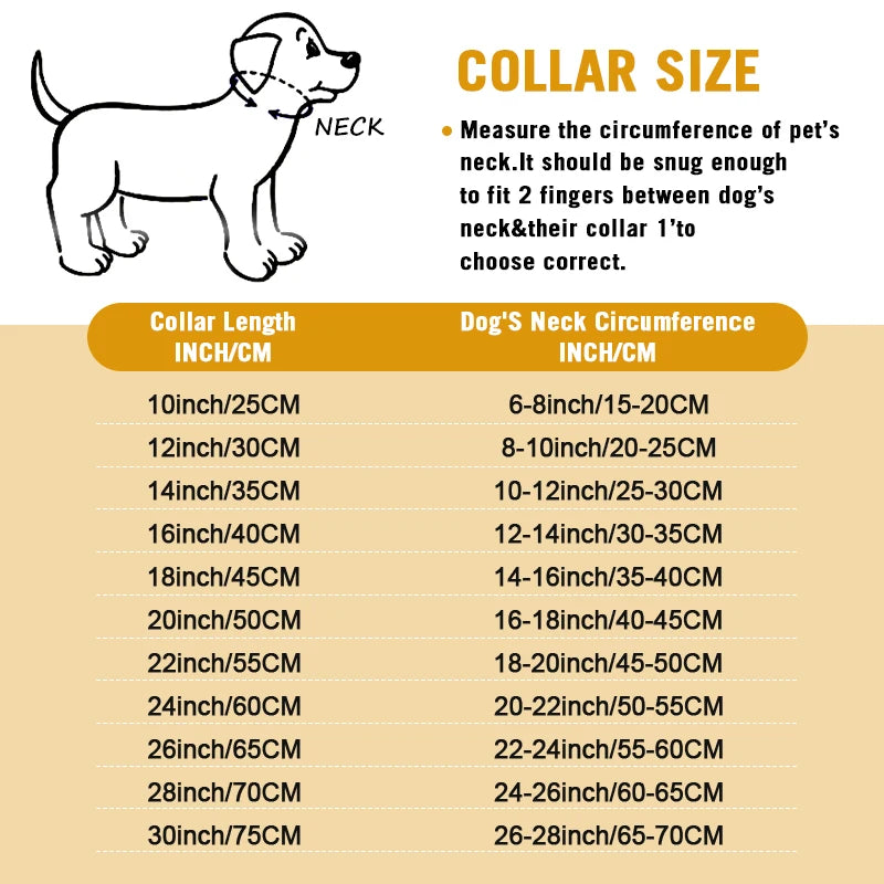Stainless Steel Chain Dog Collar With Quick Release