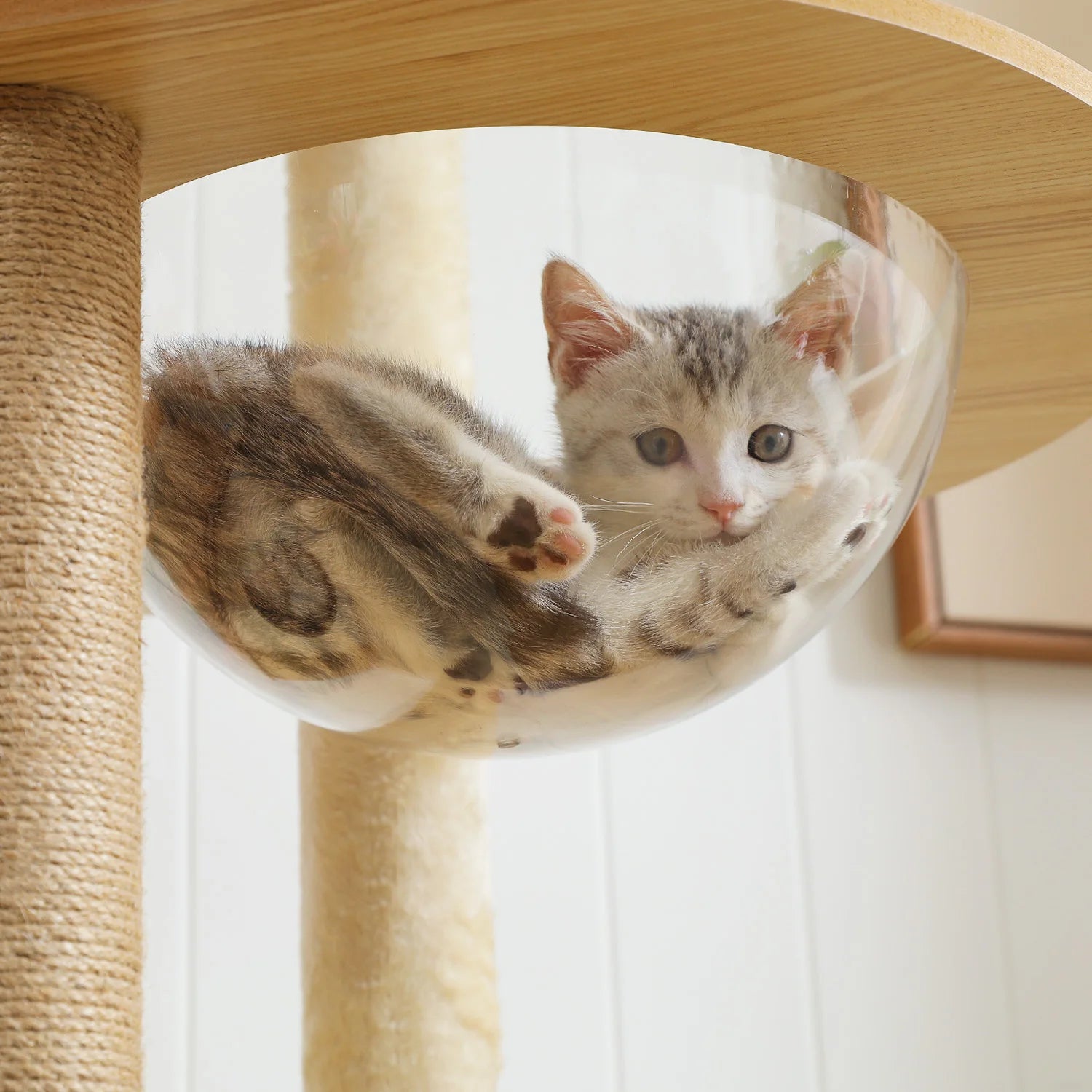 Multi-Level Cat Tree for Indoor Wood Cat Tower with Scratching Posts Spacious Condo Hammock Top Perch Cat Scratcher Cat Toys - Louie's Joint 