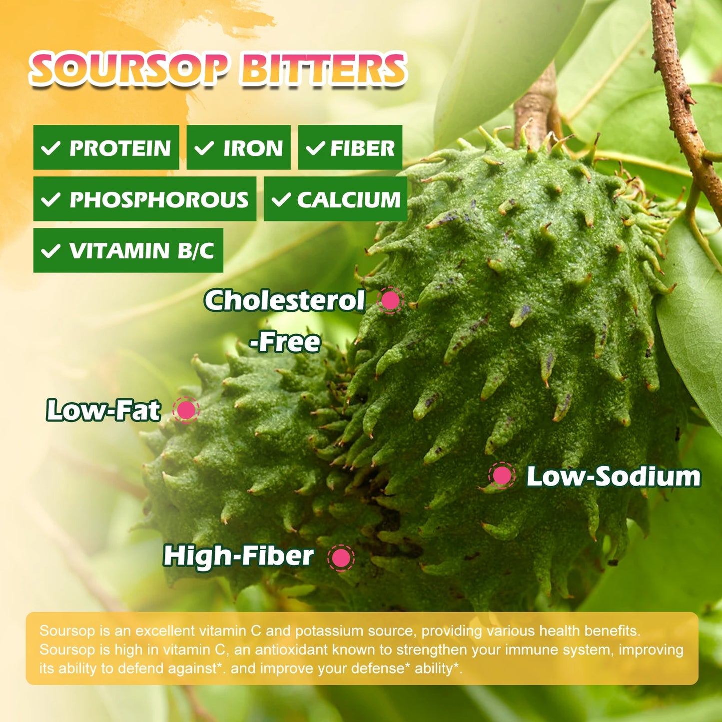Beworths Soursop Graviola Extract Drops for Immunity and Kidney Health