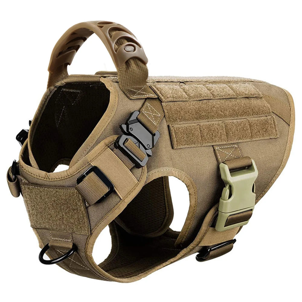PETRAVEL Dog Harness And Leash Set For Training And Walking