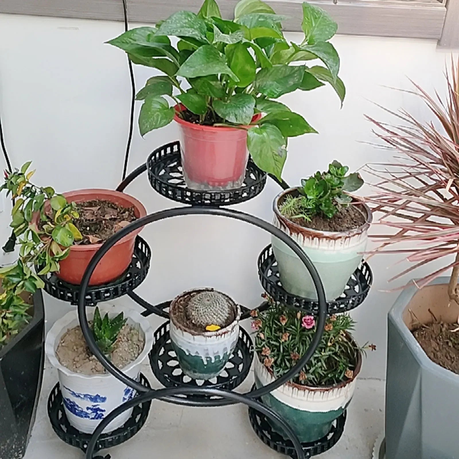 Metal Plant Stands 6 Pots Plants Flower Stand for Patio Garden Living Room Corner Balcony Bedroom Black / White - Louie's Joint 